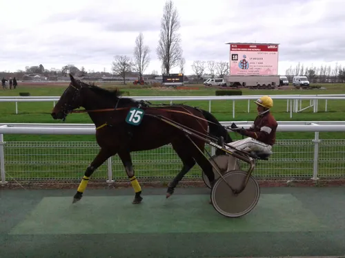 Hippisme : nos préférés pour ce samedi 15 janvier